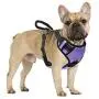 Pawaboo Dog Harness, No Pull Pet Vest Harness Adjustable Reflective Oxford Soft Padded Easy Control Handle for Outdoor Walking, Suitable for Small, Medium, Large Dogs Pawaboo Dog Harness, No Pull Pet Vest Harness Adjustable Reflective Oxford Soft Padded Easy Control Handle for Outdoor Walking, Suitable for Small, Medium, Large Dogs