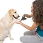 TMOLL BELLE Dog Nails Clippers and File, Professional Pet Grooming Tool, Razor Sharp Blades, Safety Guard to Avoid Overcutting, Design for Small Medium Large Dogs Cats