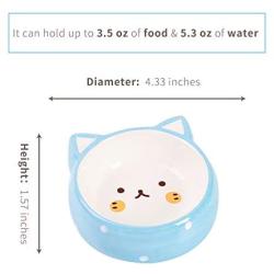 Ceramic Cat Bowl, Shallow Cat Food Bowls, Non Slip Cat Slow Feeding Bowls, Wide Cat Dish, Cat Food Bowl for Relief of Whisker Fatigue Pet Food & Water Bowls (Blue)