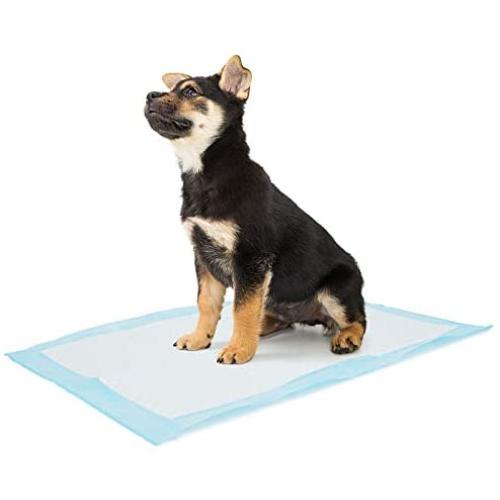 Bolux Dog and Puppy Training Pads, 13”×18” Disposable Dog Pee Pads, Ultra Absorbent & Leak-Proof Pet Underpads, Dry Quickly Pee Pad for Dog Cats Rabbits or Other House Training Pets (100/Counts)