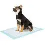 Bolux Dog and Puppy Training Pads, 13”×18” Disposable Dog Pee Pads, Ultra Absorbent & Leak-Proof Pet Underpads, Dry Quickly Pee Pad for Dog Cats Rabbits or Other House Training Pets (100/Counts)