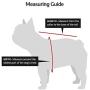 K9 Sport Sack | Dog Carrier Backpack for Small and Medium Pets | Front Facing Adjustable Dog Backpack Carrier | Fully Ventilated | Veterinarian Approved (Medium, Air - Summer Mint)