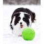 Jolly Pets Soccer Ball Floating-Bouncing Dog Toy