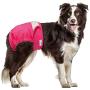 Paw Inspired Washable Dog Diapers | Reusable Dog Diapers | Washable Female Dog Diapers | Cloth Dog Diapers for Dogs in Heat, or Dog Incontinence Diapers (Large (2 ct.), Assorted (White Lining))