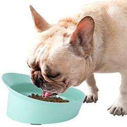 CATPRO Spill-Proof Slanted Bowl for Dogs and Cats, Non-Slip Tilted Dog Feeder, Ergonomic Cat Food Dish, Shallow Wide Food Bowl Eat with Ease for French Bulldog, Pug, Bagh, Garfield