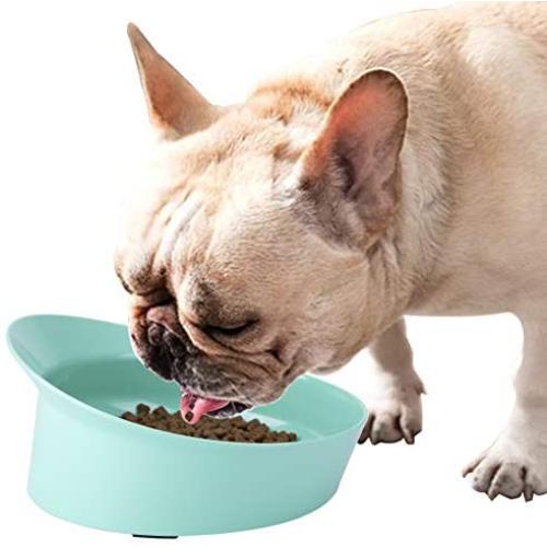 CATPRO Spill-Proof Slanted Bowl for Dogs and Cats, Non-Slip Tilted Dog Feeder, Ergonomic Cat Food Dish, Shallow Wide Food Bowl Eat with Ease for French Bulldog, Pug, Bagh, Garfield
