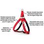 Step in Dog Harness No Choke Comfortable Padded Neoprene, Back Attachment Fully Adjustable for Medium and Small Dogs. New Bright Colors Available