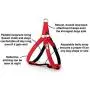 Step in Dog Harness No Choke Comfortable Padded Neoprene, Back Attachment Fully Adjustable for Medium and Small Dogs. New Bright Colors Available Step in Dog Harness No Choke Comfortable Padded Neoprene, Back Attachment Fully Adjustable for Medium and Small Dogs. New Bright Colors Available