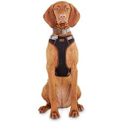 Reddy Black Dog Harness, XX-Large/3X-Large