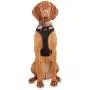 Reddy Black Dog Harness, XX-Large/3X-Large Reddy Black Dog Harness, XX-Large/3X-Large