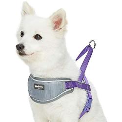 Blueberry Pet 8 Colors Soft & Comfortable 3M Reflective Strips Nylon Neoprene Padded Training Dog Harness