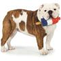 Cool Pup Dog Toy Rocket Pop Ice Cream Popsicle Shaped Frozen Water Summer Toys, Mini Cool Pup Dog Toy Rocket Pop Ice Cream Popsicle Shaped Frozen Water Summer Toys, Mini