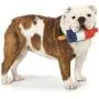 Cool Pup Dog Toy Rocket Pop Ice Cream Popsicle Shaped Frozen Water Summer Toys, Mini
