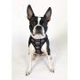 Pronto Petwear NCAA Ohio State | OSU Logo Reversible Pet Harness