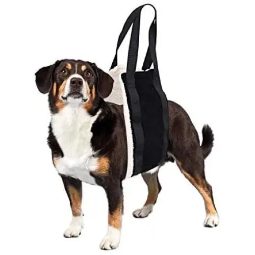 CASTELBELBO dog sling for large dogs hind leg support, dog harness small breed, portable dog lift (Black) CASTELBELBO dog sling for large dogs hind leg support, dog harness small breed, portable dog lift (Black)