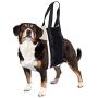 CASTELBELBO dog sling for large dogs hind leg support, dog harness small breed, portable dog lift (Black)