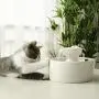 Pet Drinking Ceramic Fountain Water Feeder Cat Automatic Water Dispenser Smart Water Circulation Bowl 2L Dog Water Bottle Pet Drinking Ceramic Fountain Water Feeder Cat Automatic Water Dispenser Smart Water Circulation Bowl 2L Dog Water Bottle