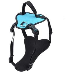 Coastal Pets Inspire Harness 1'' x 30''-43'' Inspire Aqua