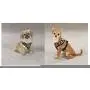 Zack & Zoey Zebra or Leopard Print Soft Plush Dog Harness Durable Reliable Walk Safety Zack & Zoey Zebra or Leopard Print Soft Plush Dog Harness Durable Reliable Walk Safety