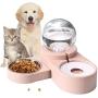 PetFun 2 in1 Pet Bowls Set Automatic Water Dispenser, No-Spill Dog Water Bowl & Dish Stainless Steel Durable & Detachable Feeder Bowl for Cats & Dogs