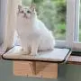 Petsfit Safety Sturdy Cat Window Perch, Natural Solid Wood and Long-haired Cushion, Without Damage, Not Fit All Windows Petsfit Safety Sturdy Cat Window Perch, Natural Solid Wood and Long-haired Cushion, Without Damage, Not Fit All Windows