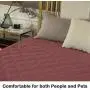 SUNNYTEX Waterproof & Reversible Dog Bed Cover Pet Blanket Sofa, Couch Cover Mattress Protector Furniture Protector for Dog, Pet, Cat SUNNYTEX Waterproof & Reversible Dog Bed Cover Pet Blanket Sofa, Couch Cover Mattress Protector Furniture Protector for Dog, Pet, Cat