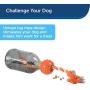 PetSafe Small Sportsmen Tug A Jug Pet Chew Toy