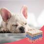 SCIROKKO Fleece Soft Dog Blanket - Warm Coral Velvet Best Cute Crate Bed Couch Cover Blankets- for Dogs and Cats