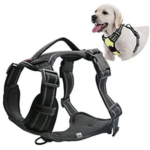 Stella-Lou No Pull Reflective no Choke Humane Dog Training Harness Heavy Duty Easy on/Off Adjustable Two Attachment Rings Small, Medium, Large, Extra Large Stella-Lou No Pull Reflective no Choke Humane Dog Training Harness Heavy Duty Easy on/Off Adjustable Two Attachment Rings Small, Medium, Large, Extra Large