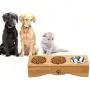 Cat Bowls, Pet Bowl Small Dog and Cat Bowls Stainless Steel Three Bowls Pet Feeder Pet Food Bowl for Cats Cat Bowls, Pet Bowl Small Dog and Cat Bowls Stainless Steel Three Bowls Pet Feeder Pet Food Bowl for Cats