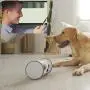 SKYMEE Pet Camera: Owl Robot & Petalk AI II 1080 FHD Pet Camera Treat Dispenser Interactive Toy for Dogs Cats Remote App Control SKYMEE Pet Camera: Owl Robot & Petalk AI II 1080 FHD Pet Camera Treat Dispenser Interactive Toy for Dogs Cats Remote App Control