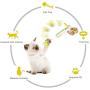 QINGQUAN Pistol Interactive Cat Ball, New Cat Toys, Interactive Cat Toy to Improve Pet Intelligence