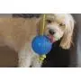 Ice Ball Fill with Water Dog Toys