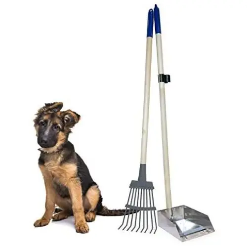 Spotty Pooper Scooper Durable Solid Wood Handle Metal Poop Tray with Rake 36.75'' Long Handled Scoop | Great for Large or Small Dogs | No Assembly Required | Better for The Environment Than Plastic