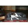 Hidden Valley Products 30 x 40 Microsuede Baxter Couch, Grey, Large