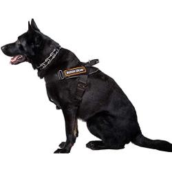 Dingo Gear Multifunctional Harness for Dog in Work, Guard Dog Training, K9 and Ipo, Cobra System Handmade