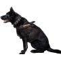 Dingo Gear Multifunctional Harness for Dog in Work, Guard Dog Training, K9 and Ipo, Cobra System Handmade