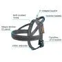 XS Size Puppy Dog Collar Nylon Adjustable No Pull Dog Harness Small Dog Harness with Padded XS Size Puppy Dog Collar Nylon Adjustable No Pull Dog Harness Small Dog Harness with Padded