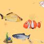 YXiang Electric Fish Plush Toy cat Flapping Fish Funny cat pet Toy net red Fish Jumping Fish Gift (Grass carp)