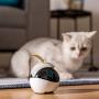 Enabot Ebo Familybot: Your Moving Camera at Home