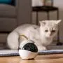 Enabot Ebo Familybot: Your Moving Camera at Home Enabot Ebo Familybot: Your Moving Camera at Home