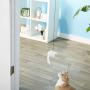 A-Door-Able Hanging Catnip Filled Mouse Cat Toy Door Frame Clamp Elastic Band