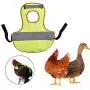 Uwariloy Pet Reflective Vest, Chicken Clothes Chicken Saddle Poultry Hen Saddle Apron Feather Protection Holder High-Vis Jacket for Chicken and Duck Uwariloy Pet Reflective Vest, Chicken Clothes Chicken Saddle Poultry Hen Saddle Apron Feather Protection Holder High-Vis Jacket for Chicken and Duck