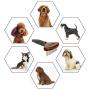HOP Home of Paws Metal Dog Comb for Grooming Long Hair Cats & Dogs - Pet Steel Deshedding Rake Pin Brush Dog Rake, Lotus Wood