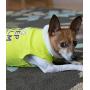 Parisian Pet Dog Cat Clothes Tee Shirts Lifeguard, Peace, Free Hugs, Captain, Who Saved Who, Size Matters, Tuxedo, Keep Calm, Mustache, Lifes a Beach