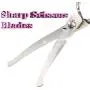 Dog Grooming Scissors Curved 7 Inch Stainless Steel with Safety Round Tips Professional Pet Grooming Shears for Dogs and Cats Dog Grooming Scissors Curved 7 Inch Stainless Steel with Safety Round Tips Professional Pet Grooming Shears for Dogs and Cats