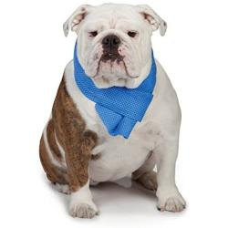 Cool Pup Dog Cooling Pet Towel