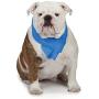 Cool Pup Dog Cooling Pet Towel