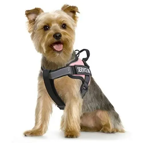 MUMUPET Dog Harness No Pull Pet Harness Adjustable Service Dog Vest for All Dogs Easy Control, 3M Reflective Oxford Material Vest Outdoor Walking, 2 Metal Rings and Handle No More Tugging or Choking MUMUPET Dog Harness No Pull Pet Harness Adjustable Service Dog Vest for All Dogs Easy Control, 3M Reflective Oxford Material Vest Outdoor Walking, 2 Metal Rings and Handle No More Tugging or Choking