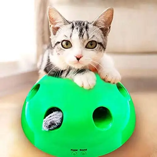 ALBOLET cat Toys Interactive,Pop N’ Play Interactive Motion Cat Toy-Electronic Smart Random Moving Feather & Mouse Teaser, Mouse Squeak Sound Optional & Auto Shut Off. ALBOLET cat Toys Interactive,Pop N’ Play Interactive Motion Cat Toy-Electronic Smart Random Moving Feather & Mouse Teaser, Mouse Squeak Sound Optional & Auto Shut Off.